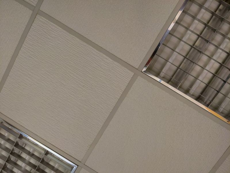 Drop Ceiling Repair