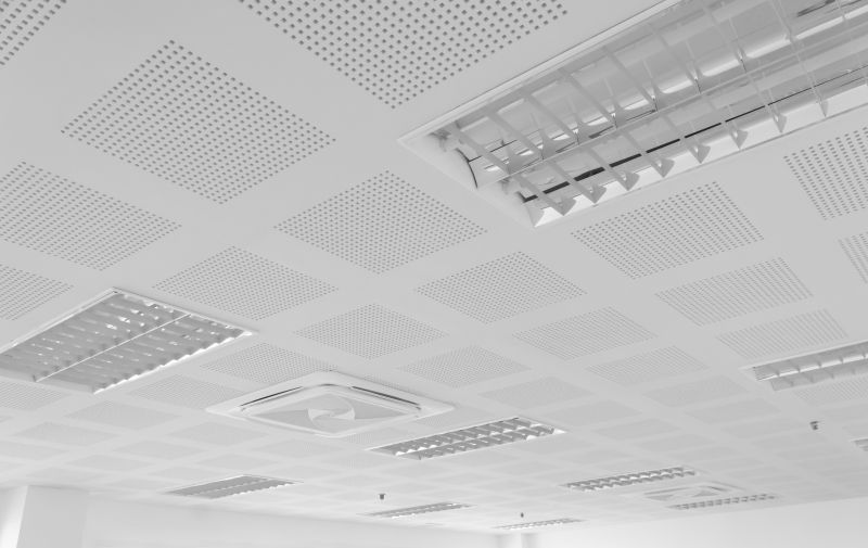 Ceiling Panel Repair in Saint Augustine, FL
